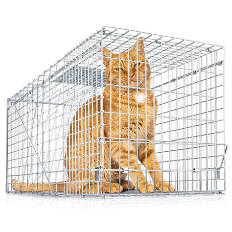 Cat Trap .